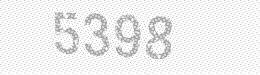 Visual security code — type the characters shown in the image